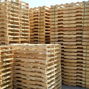 Pallet gỗ